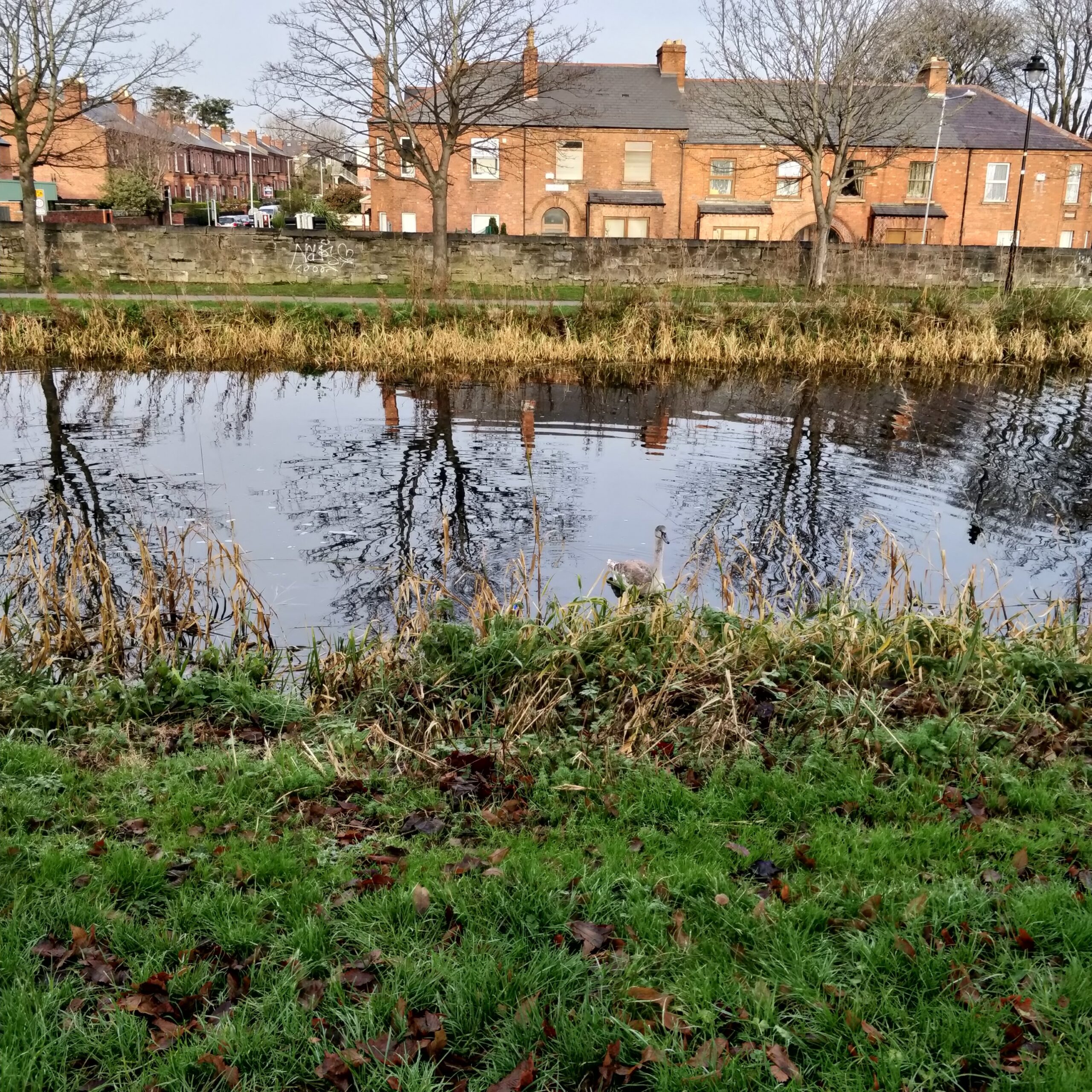 Royal Canal, Dublin